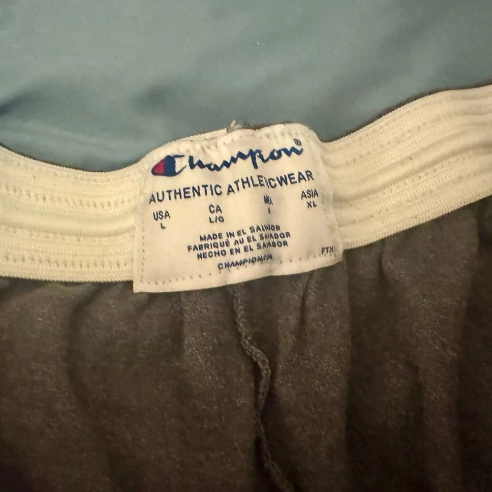 Champion Grey Shorts. Tie Inside. Sz L